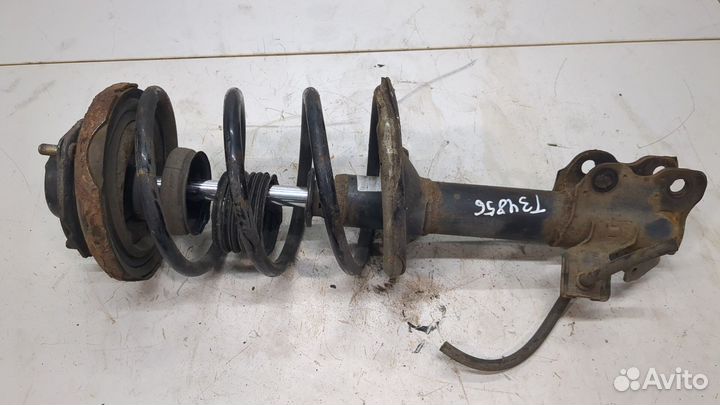 Амортизатор подвески Nissan Almera Tino, 2004