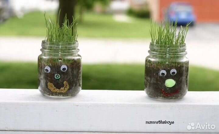 Пустые баночки от детского пюре