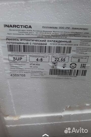 Лосось охлаждённый, семга