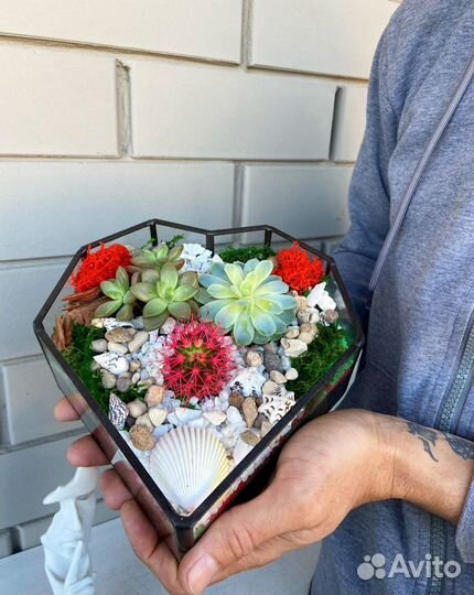 Подарок. Цветы. Флорариум. Сердце. Живые растения