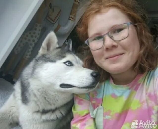 Выгул собак, кошки, зооняня приходящая