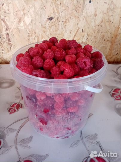 Продам малину