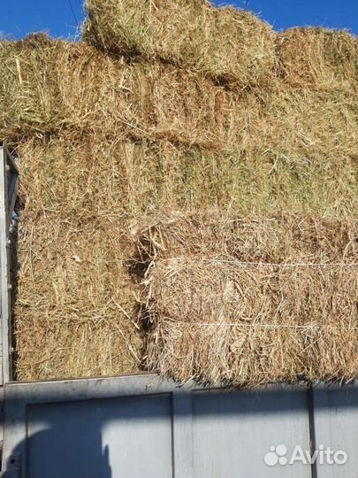 Сено луговое в тюках