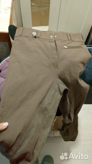 Конные бриджи женские