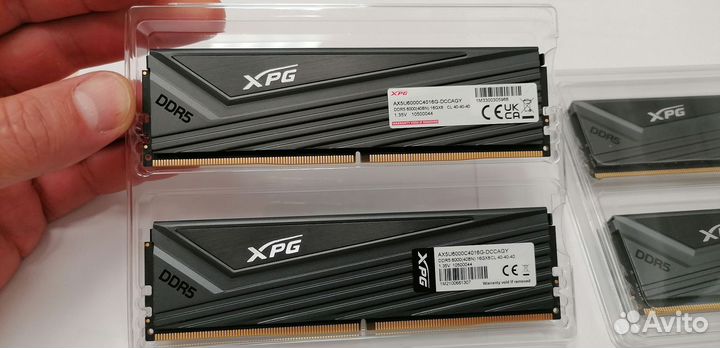 Оперативная память Adata 32GB DDR5 5600 Mhz