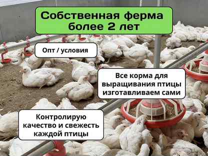 Бройлеры живым весом, Москва