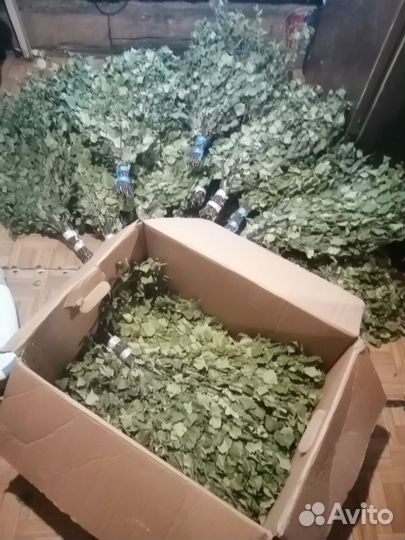 Березовые веники