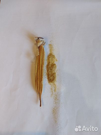 Семена Орхидеи