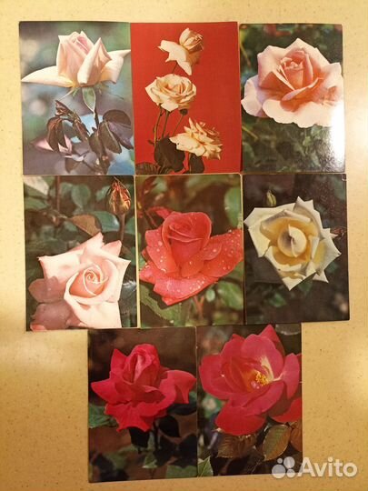 Винтажные советские открытки с розами