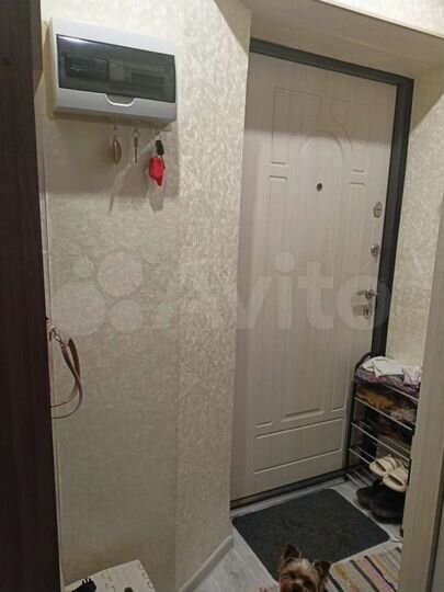 2-к. квартира, 37,4 м², 1/2 эт.