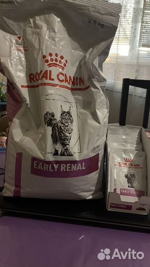 Корм для кошек royal canin