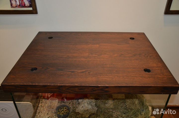 Аквариум - дендрариум