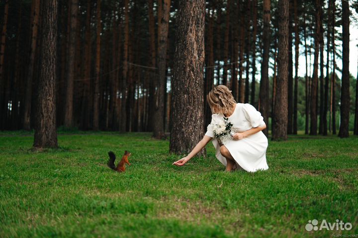 Фото/Видеосъемка (любое направление )