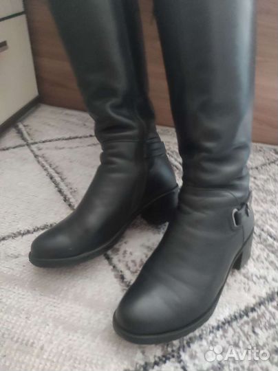 Сапоги женские