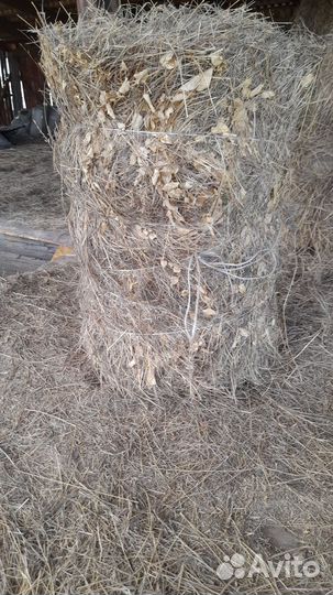 Сено и солома в тюках