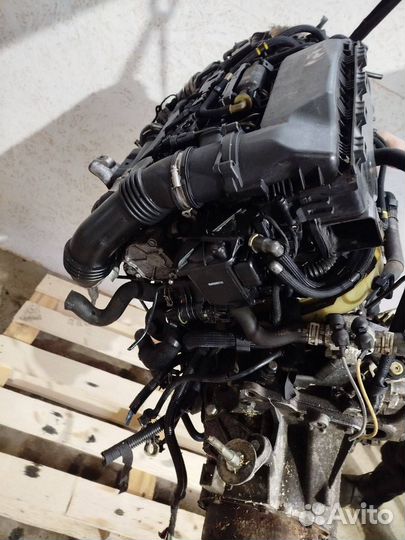 Двигатель 9HZ Citroen Berlingo 1 restailing 1.6 Дизель