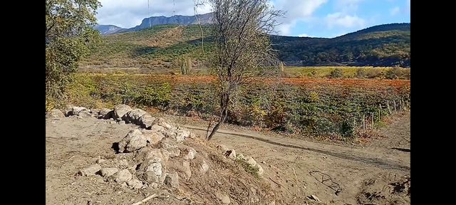 Участок 6 сот. (ИЖС)