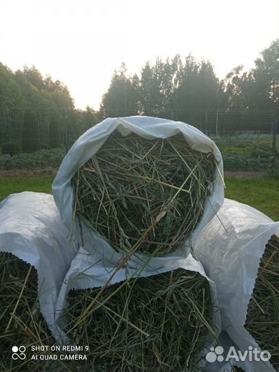 Луговое сено в мешках