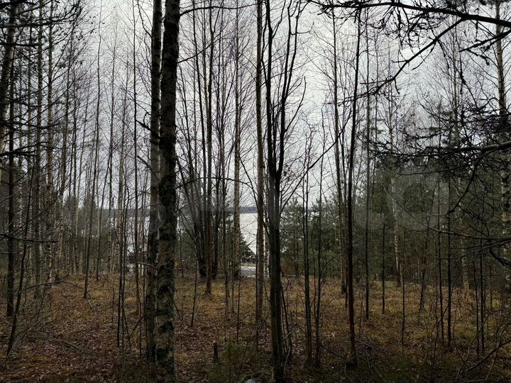 Участок 12,5 сот. (ИЖС)