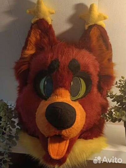 Фурсьют собака