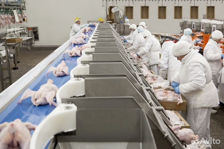 Работа вахтой/г.Шахты/Проживание/Питание/Премии