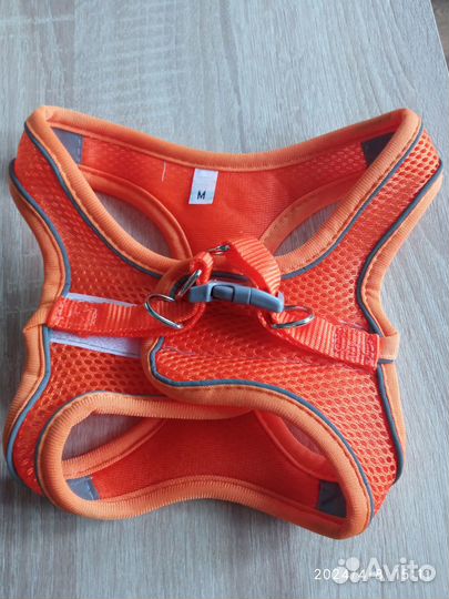 Шлейка для собаки светоотражающая с поводком