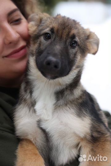 Ева ищет свою семью