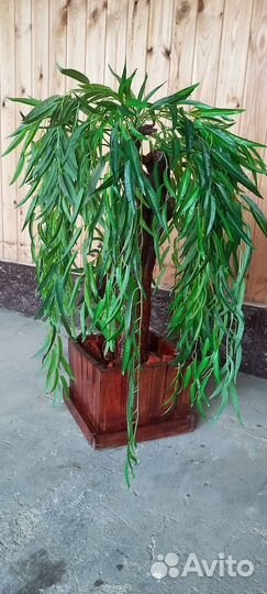 Декоративные