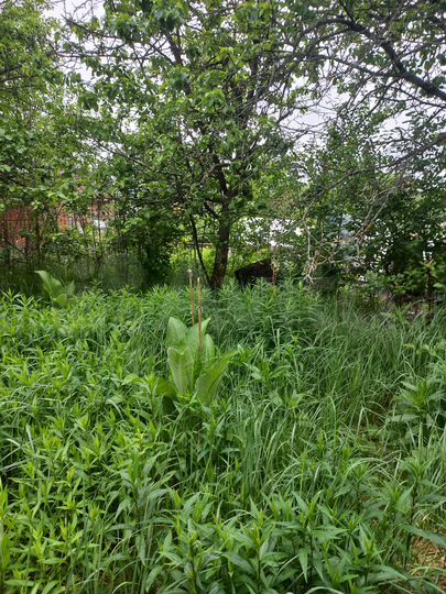 Дача 20 м² на участке 3 сот.