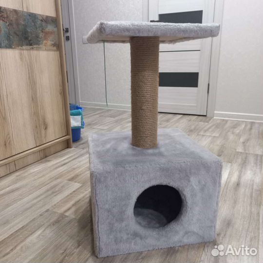 Комплект для кошки