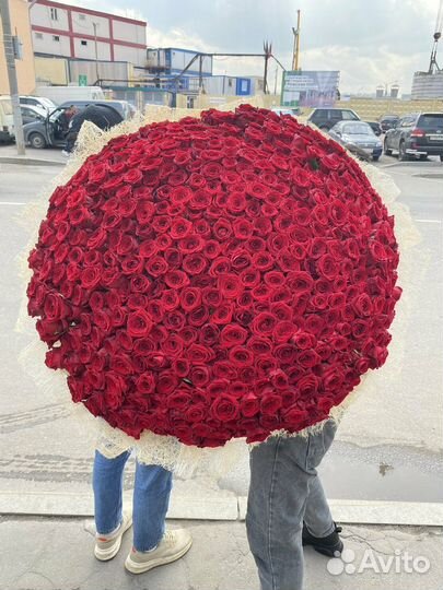 Розы оптом