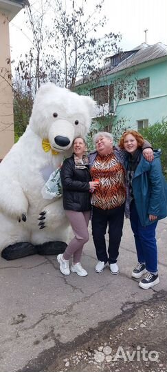 Экспресс- поздравление Белый мишка, Зайка, Вахтанг