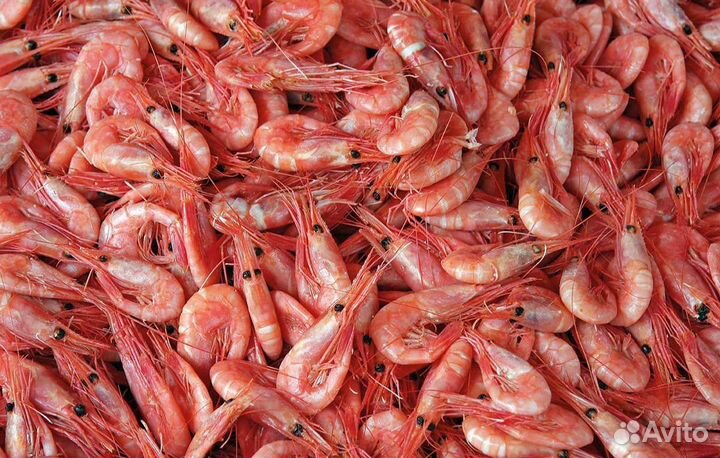 Креветки лангустины