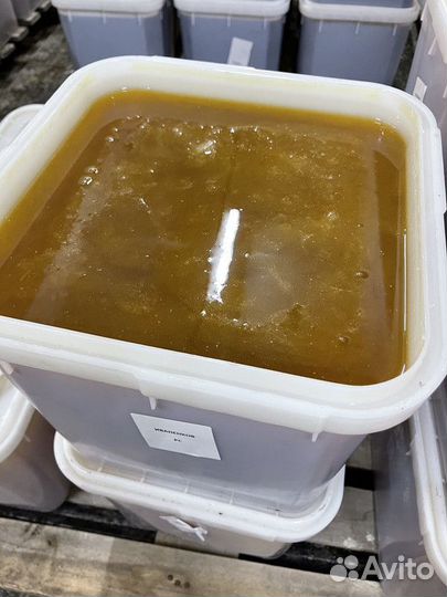 Мёд с Алтая свежий