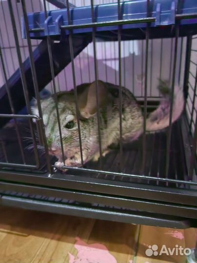 Клетка для грызунов