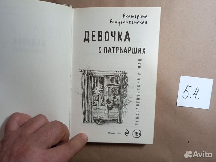 Девочка с Патриарших Рождественская Екатерина Робе