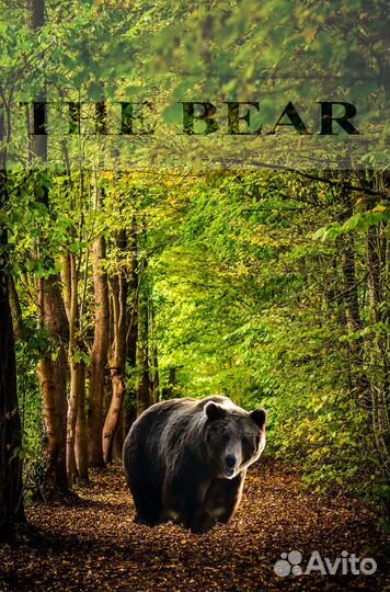 Фоторедактор, Ретушь фотографий услуги Фотошоп