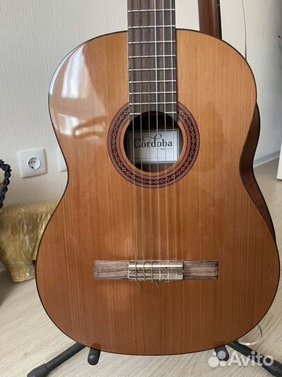 Гитара Cordoba c5 iberia series