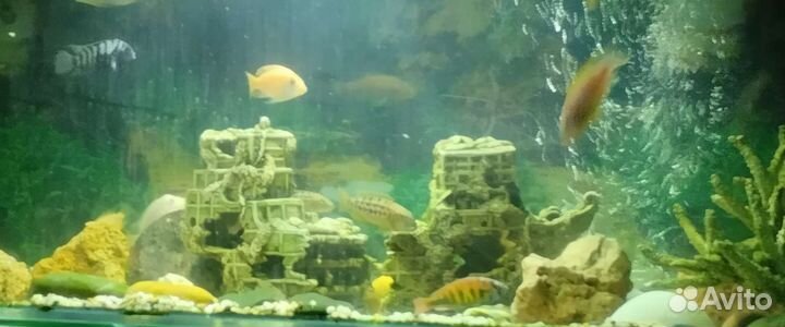 Украшения для аквариума