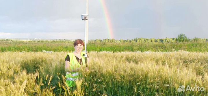 Вынос границ в натуру, регистрация дома