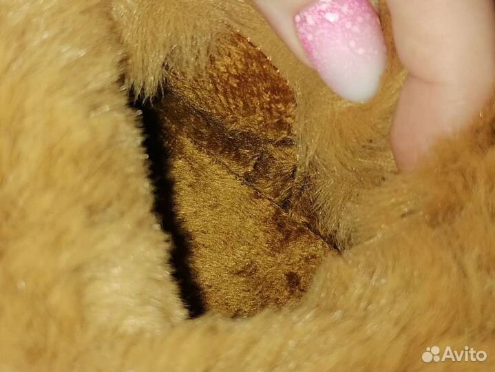 Ботинки женские новые