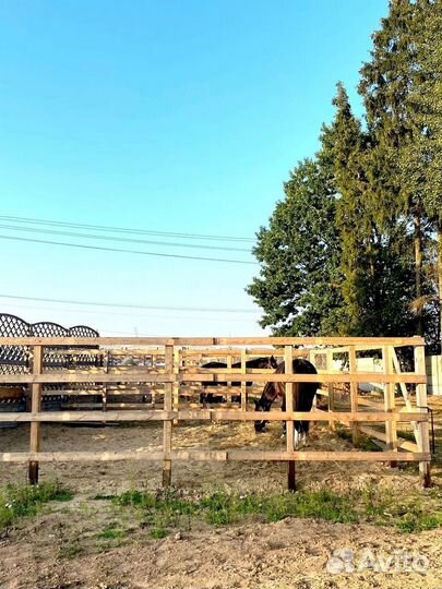 Постой для лошадей