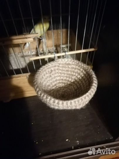 Гнездо для птиц и канареек