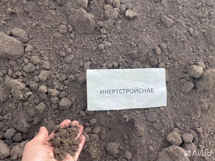 Чернозем