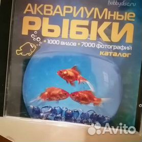 MAAM.ru: Мастер-класс «Золотая рыбка» (из cd диска и бумаги).