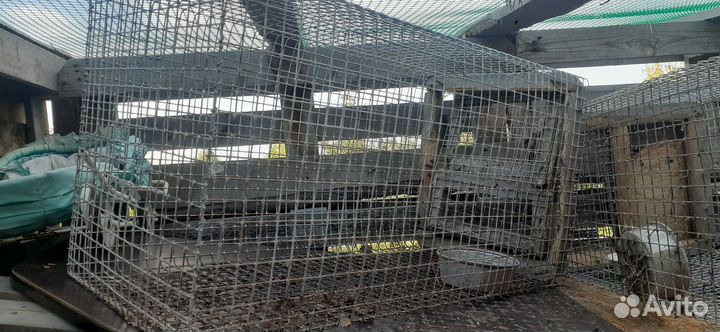 Клетка для кролика
