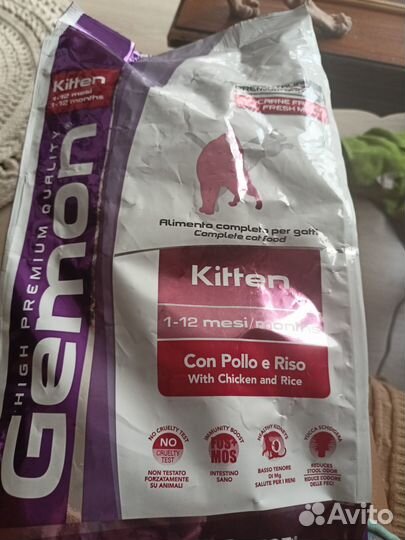 Сухой корм для котят Gemon с курицей 1.5 кг