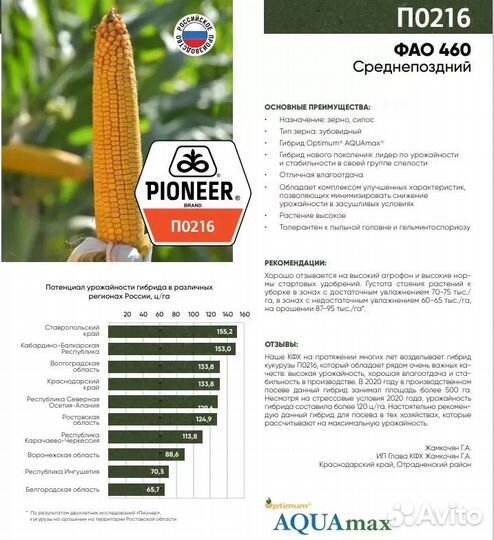 Семена кукурузы