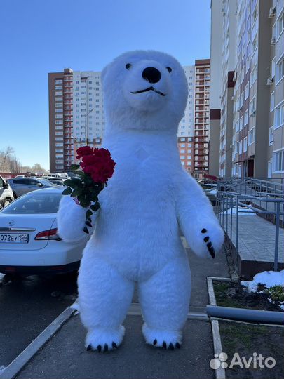 Белый мишка поздравление