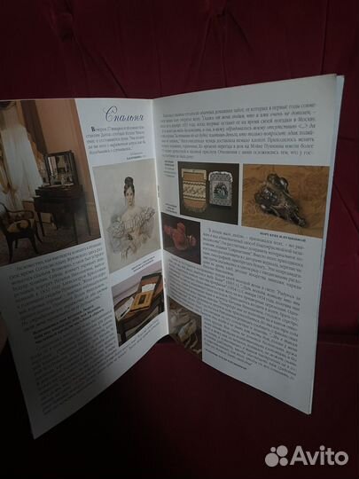 Путеводитель: музей-квартира А.С. Пушкина